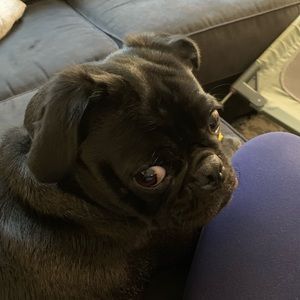 Meet your Posher, Charlotte